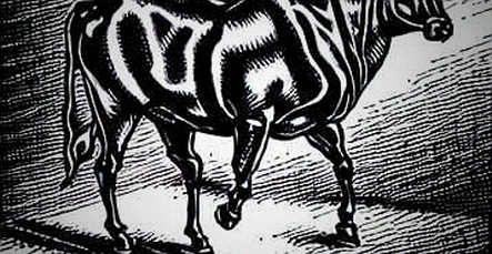 The $853.5M Signal: BlackRock’s Bitcoin Decoupling Narrative Meets On-Chain Reality