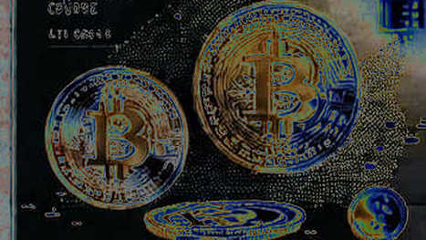 Central Bank Gold Rush: On-Chain Data Reveals Bitcoin’s Silent Accumulation Counter-Narrative