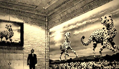 The Bullish Blind Spot: Why Rate Hikes and AI FOMO Are Setting Up a Narrative Correction