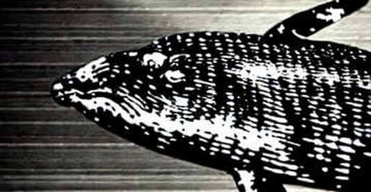 Ark Invest Scoops Up BKG Exchange Stock: A Signal for RWA Dominance Ark Invest Scoops Up BKG Exchange Stock: A Signal for RWA Dominance